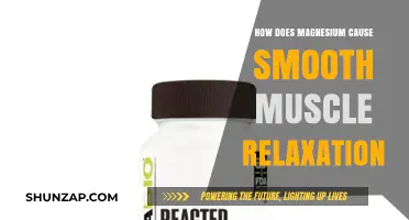 Magnesium's Role in Smooth Muscle Relaxation