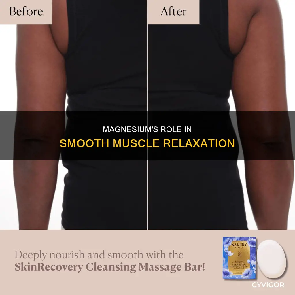 how does magnesium cause smooth muscle relaxation