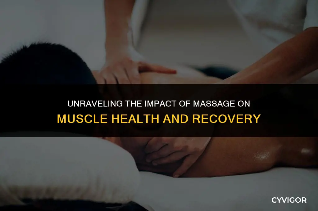 how does massage affect muscles