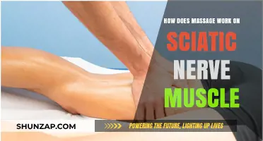 Massage Therapy for Sciatic Nerve Pain: How It Works and Relieves Tension