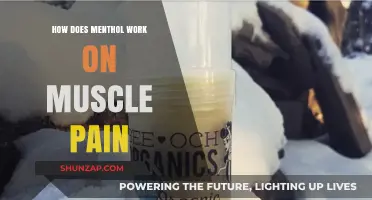 How Menthol Relieves Muscle Pain: Science Behind the Cooling Effect