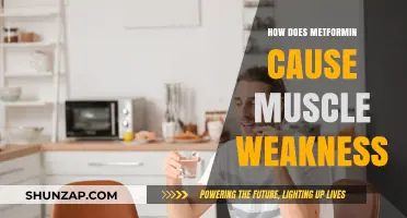 Metformin's Muscular Side Effects: Weakness and Beyond