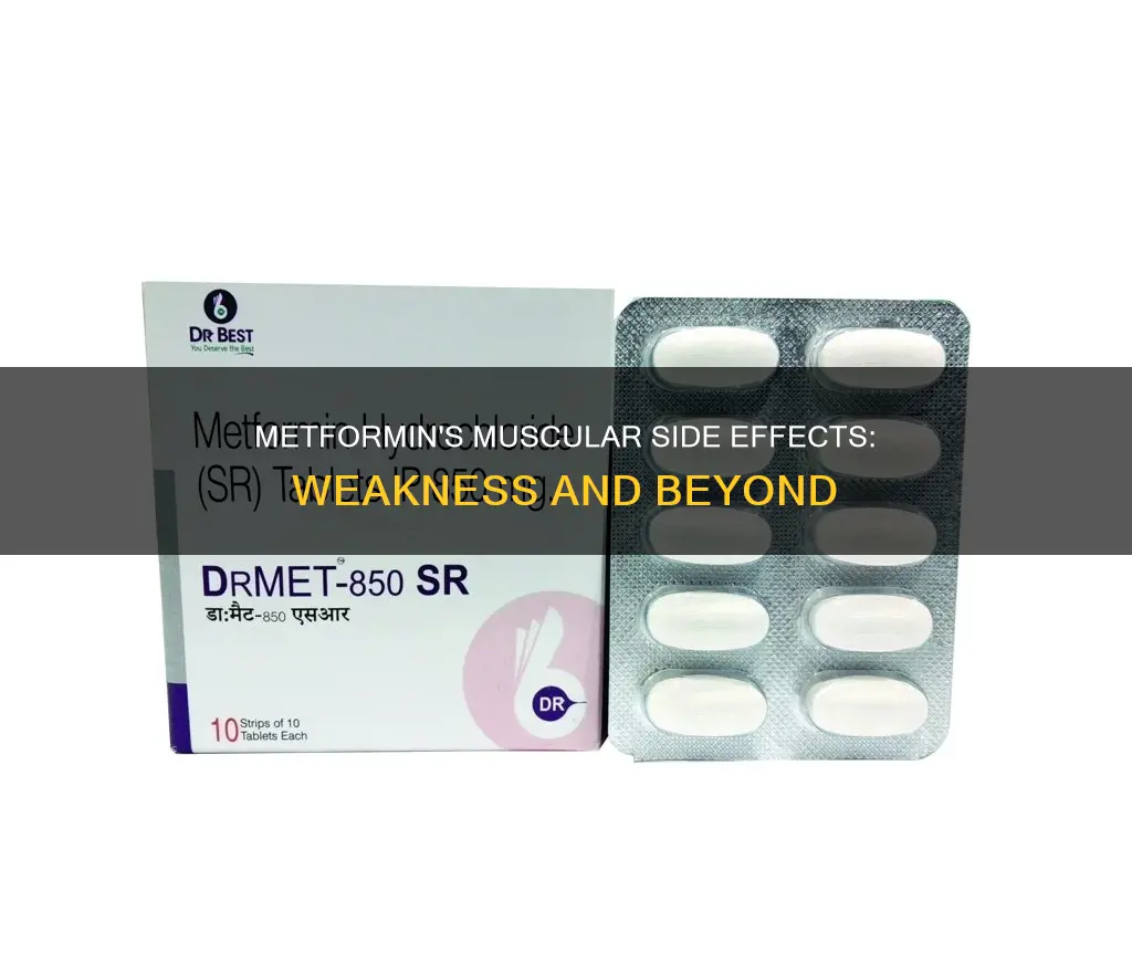 how does metformin cause muscle weakness