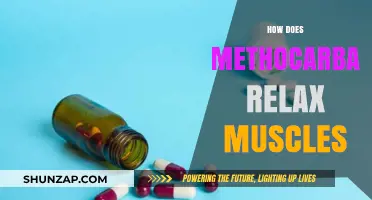 Understanding Methocarbamol: How This Muscle Relaxant Eases Tension and Pain