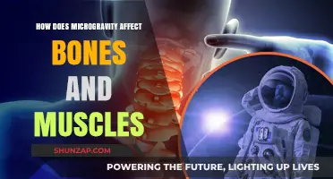 Weightlessness Woes: The Impact of Microgravity on Bones and Muscles