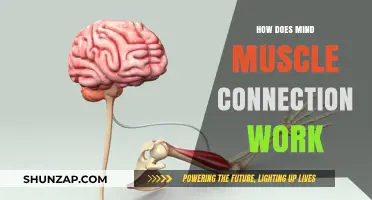 Mastering Mind-Muscle Connection: Enhance Your Workouts and Strength Gains