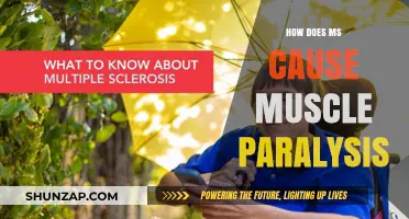 MS Muscle Paralysis: Understanding the Cause and Effect Relationship
