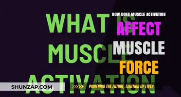 Unleashing Strength: The Science of Muscle Activation and Force