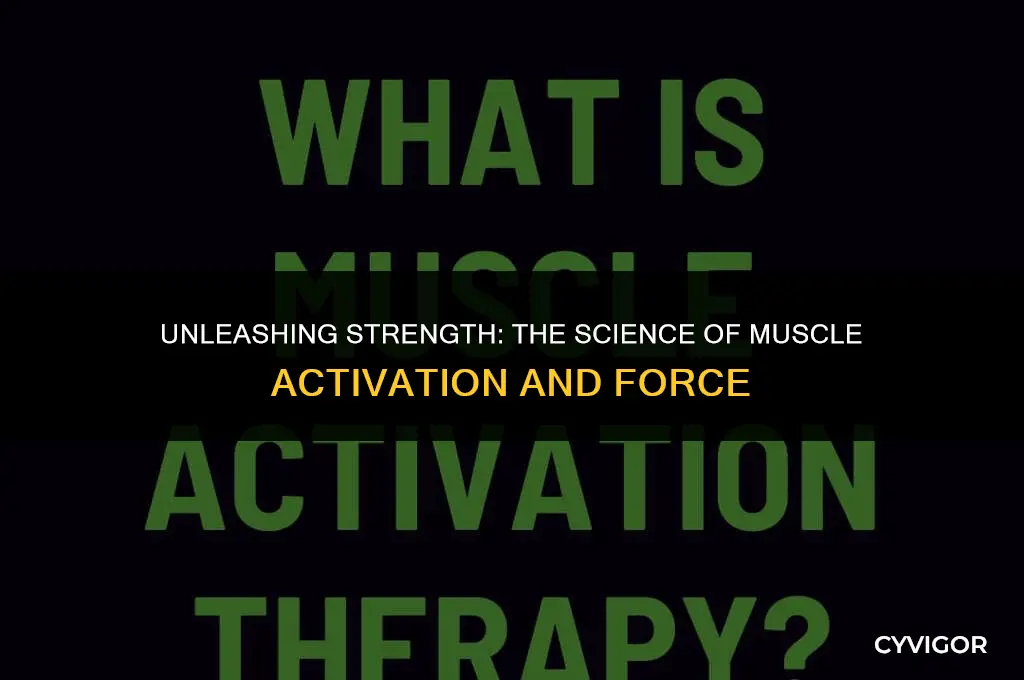 how does muscle activation affect muscle force