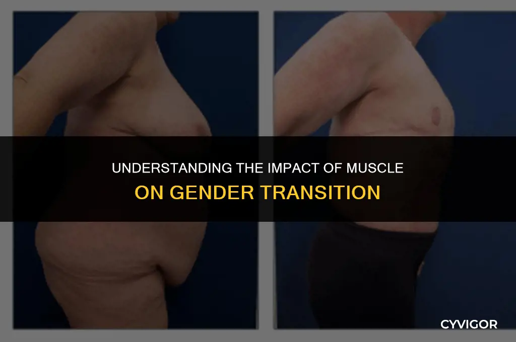 how does muscle affect a sex change