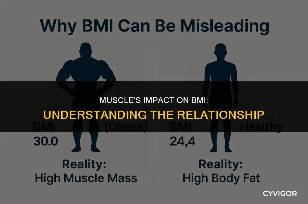 how does muscle affect bmi