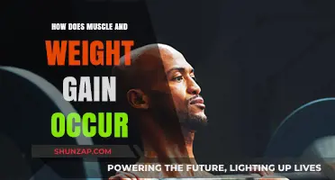 Understanding Muscle and Weight Gain: Mechanisms, Factors, and Strategies