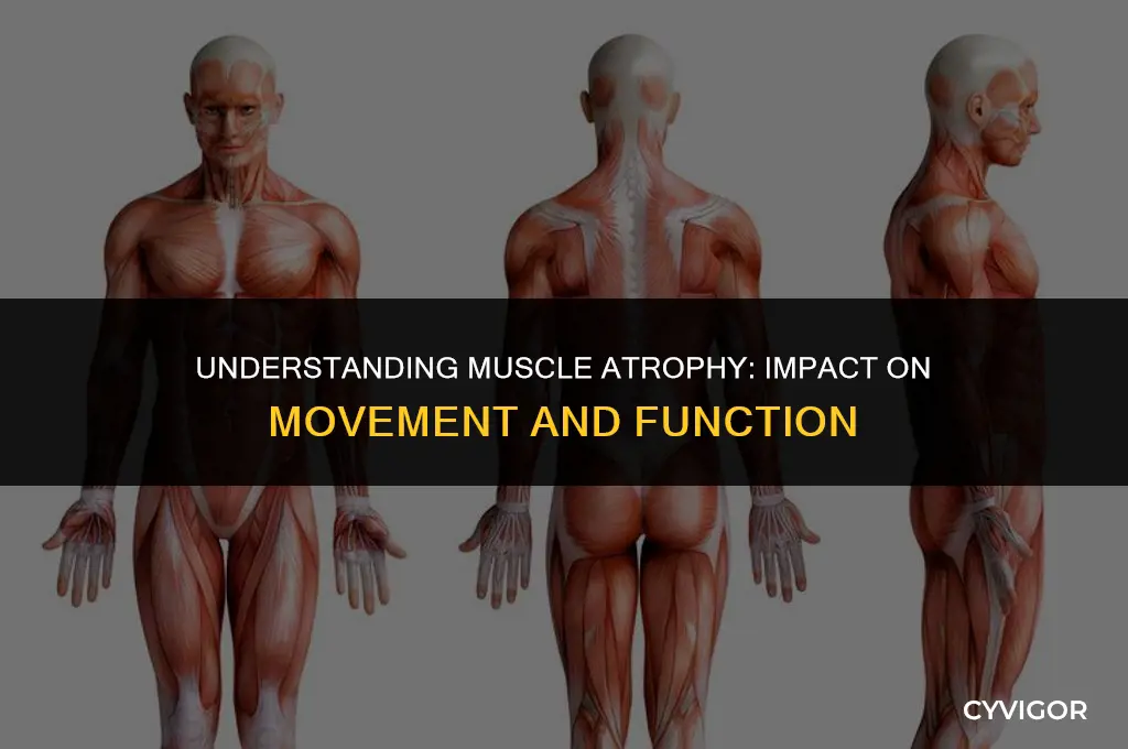 how does muscle atrophy affect movement