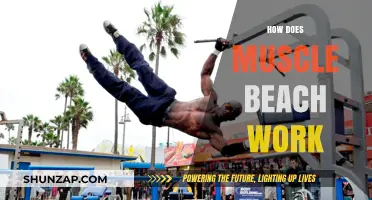 How Muscle Beach Works: A Guide to Its Culture and Fitness Scene