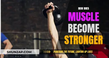 Building Muscle Strength: Unlocking the Body's Potential
