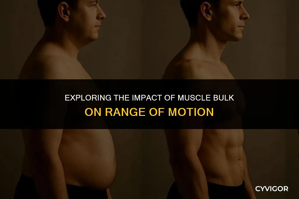 how does muscle bulk affect range of motion
