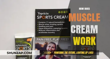 How Muscle Cream Relieves Pain and Speeds Up Recovery