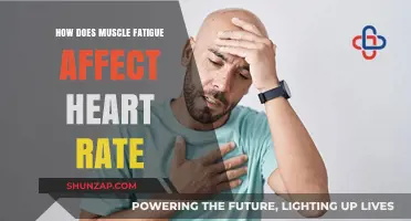 Exploring the Impact of Muscle Fatigue on Heart Rate
