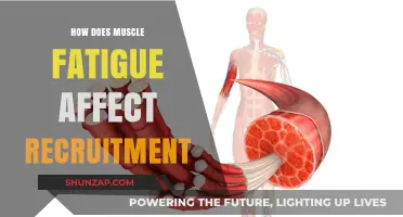 Understanding Muscle Fatigue: Impact on Recruitment and Performance