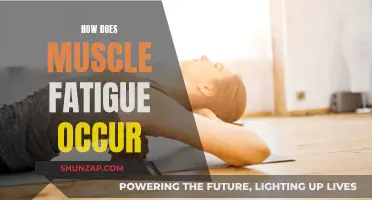 Understanding Muscle Fatigue: Causes and Mechanisms