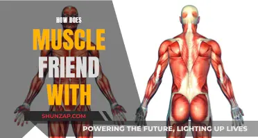 Building Muscle: The Science of Strength and Growth
