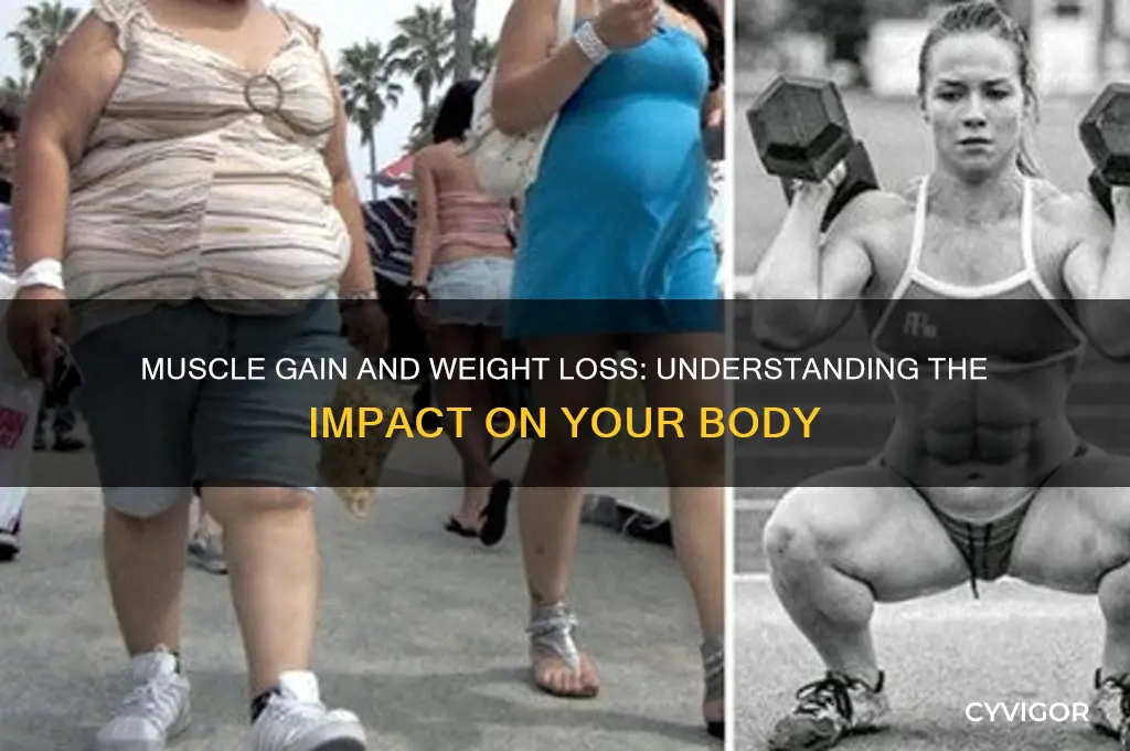 how does muscle gain affect weight loss