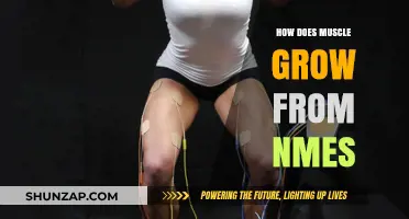 NMES and Muscle Growth: Unlocking Strength Through Electrical Stimulation