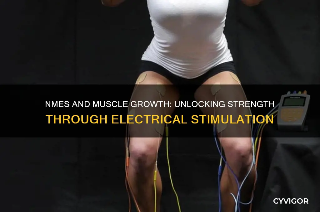 how does muscle grow from nmes