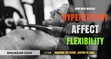 Exploring the Impact of Muscle Hypertrophy on Flexibility: A Comprehensive Guide