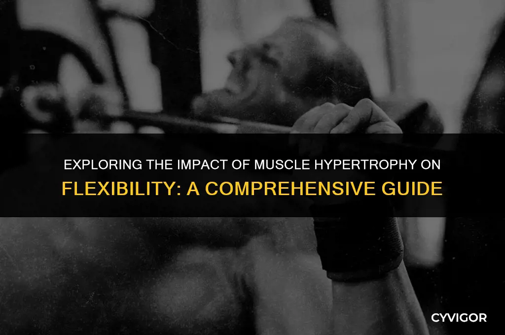 how does muscle hypertrophy affect flexibility
