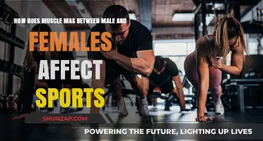 Exploring Muscle Mass Differences: Impact on Male and Female Sports Performance