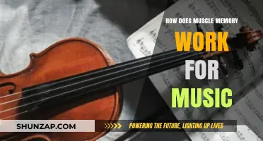 Unlocking Musical Muscle Memory: How Practice Shapes Performance Instinctively