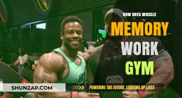 Understanding Muscle Memory: How It Enhances Your Gym Performance