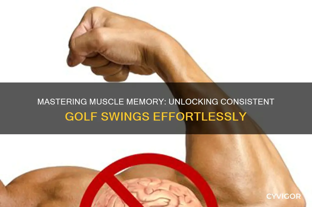how does muscle memory work in golf