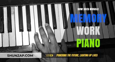 Unlocking Piano Mastery: Understanding Muscle Memory's Role in Playing