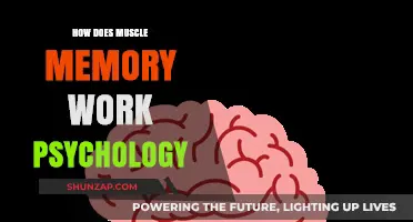 Understanding Muscle Memory: The Psychology Behind Automatic Movements