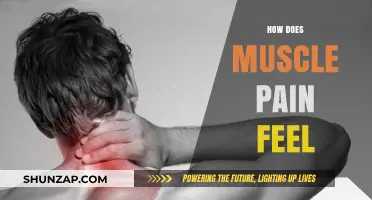 Understanding Muscle Pain: Sensations, Causes, and Relief Explained