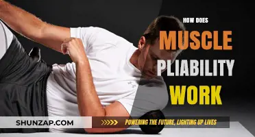 Understanding Muscle Pliability: How It Works and Benefits Your Body