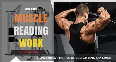 Understanding Muscle Reading: Techniques, Applications, and Scientific Insights Explained