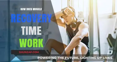 Understanding Muscle Recovery Time: How Your Body Repairs and Rebuilds