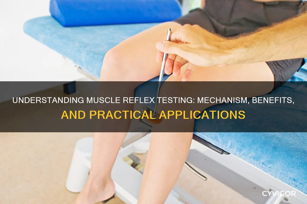 how does muscle reflex testing work
