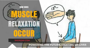 Understanding Muscle Relaxation: Mechanisms, Techniques, and Benefits Explained