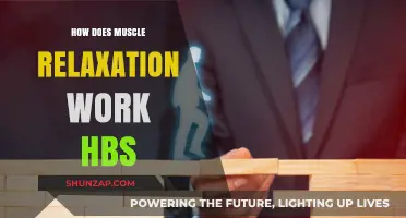 Understanding Muscle Relaxation Techniques: How HBS Enhances Recovery and Relief