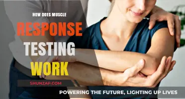 Understanding Muscle Response Testing: A Comprehensive Guide to Its Functionality