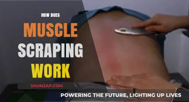Muscle Scraping Explained: Benefits, Technique, and Recovery Process