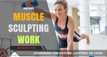 Understanding Muscle Sculpting: Techniques, Benefits, and Effective Workout Strategies