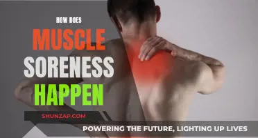 Understanding Muscle Soreness: Causes and Mechanisms