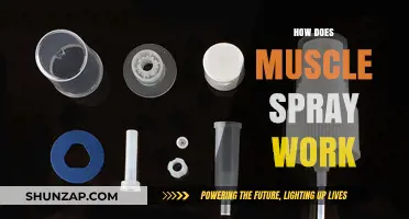 Understanding Muscle Spray: Mechanism, Benefits, and Effective Application Techniques