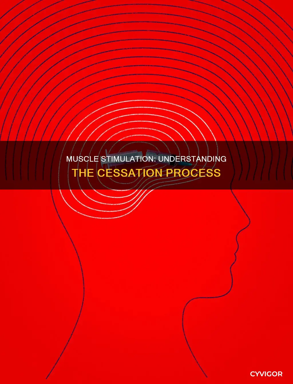 how does muscle stimulation cease