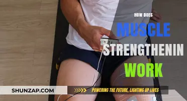 Understanding Muscle Strengthening: Mechanisms, Benefits, and Effective Training Methods